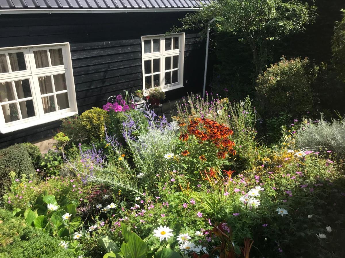 T Huuske Tuinappartement Met Fantastisch Uitzicht, Nabij Zee Zonnemaire