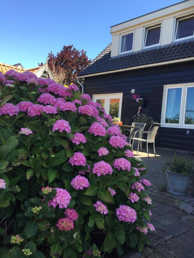 T Huuske Tuinappartement Met Fantastisch Uitzicht, Nabij Zee * Zonnemaire
